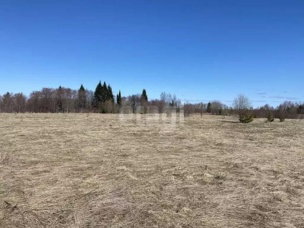 Участок в Архангельская область, Котласский муниципальный округ, д. ... - Фото 1