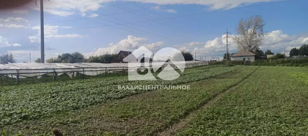 Участок в Новосибирская область, Новосибирский район, с. Ярково ... - Фото 0