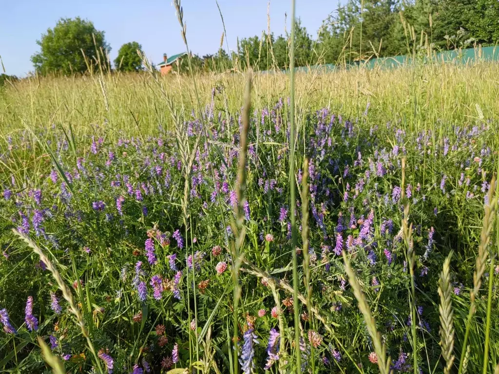 Продается участок в д. Хаустово - Фото 1
