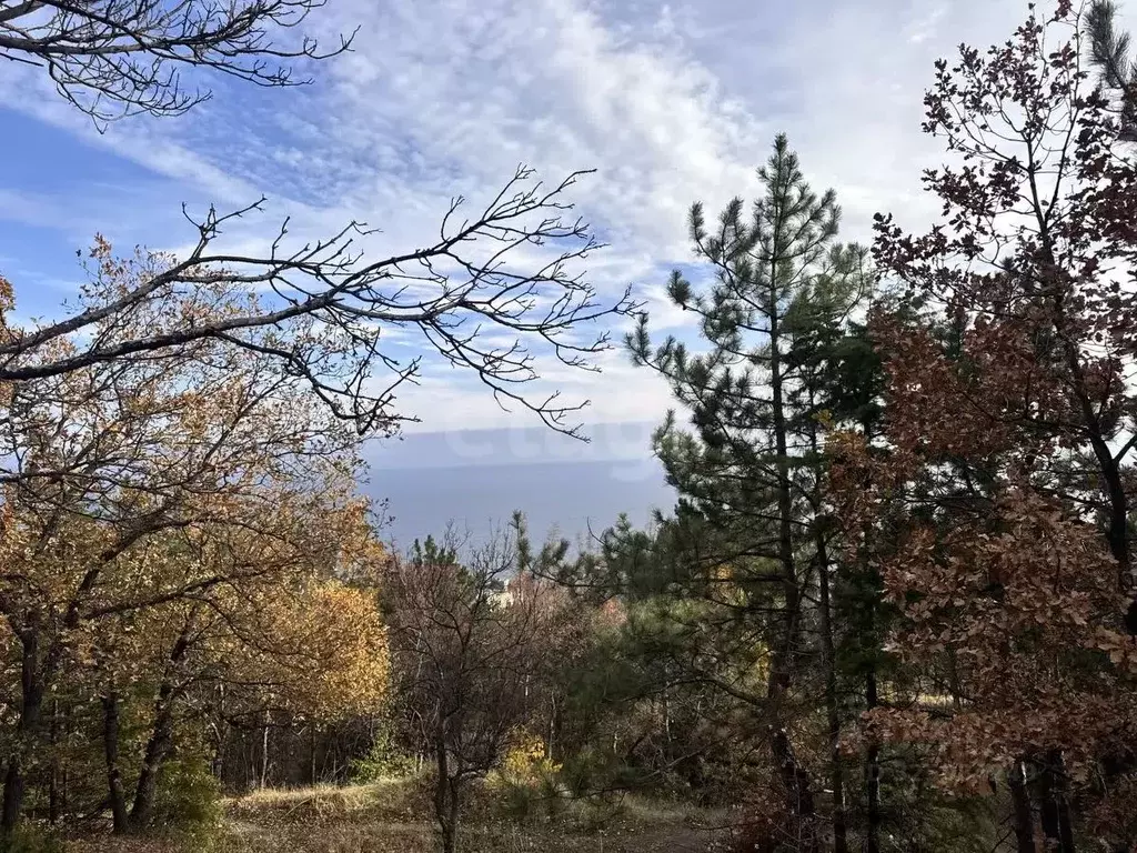 Участок в Крым, Алупка ул. Калинина (9.0 сот.) - Фото 2