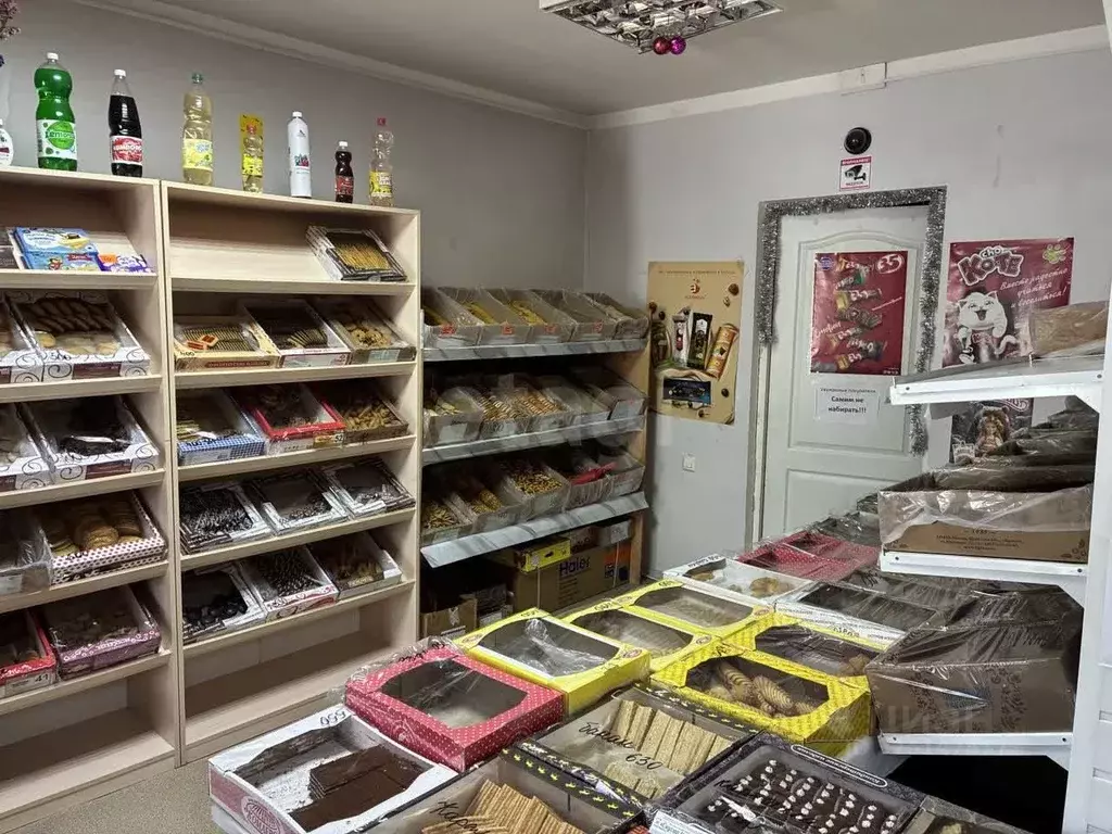 Помещение свободного назначения в Курская область, Железногорск ул. ... - Фото 1