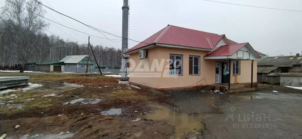 Торговая площадь в Челябинская область, Аргаяшский район, д. Акбашева ... - Фото 1