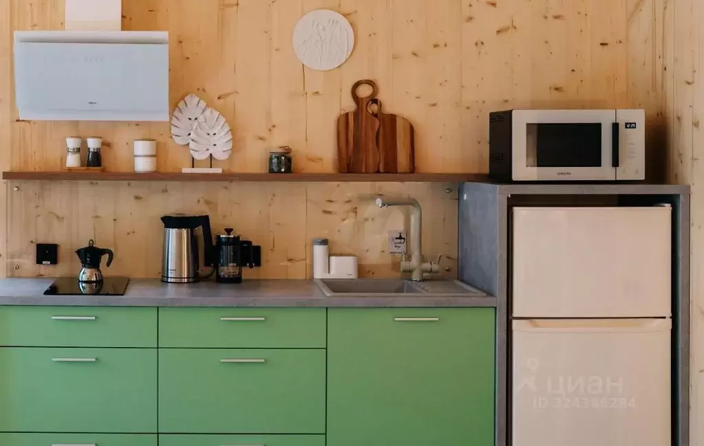 Дом в Алтай, Чемальский район Чемальский тракт, 10 км, 1/1 (35 м) - Фото 2