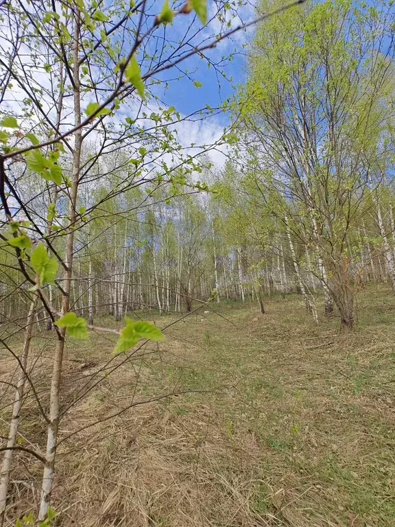 Участок 6 сот. (ИЖС) - Фото 0