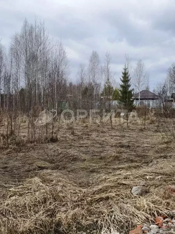 Участок в Тюменская область, Нижнетавдинский муниципальный округ, ... - Фото 2