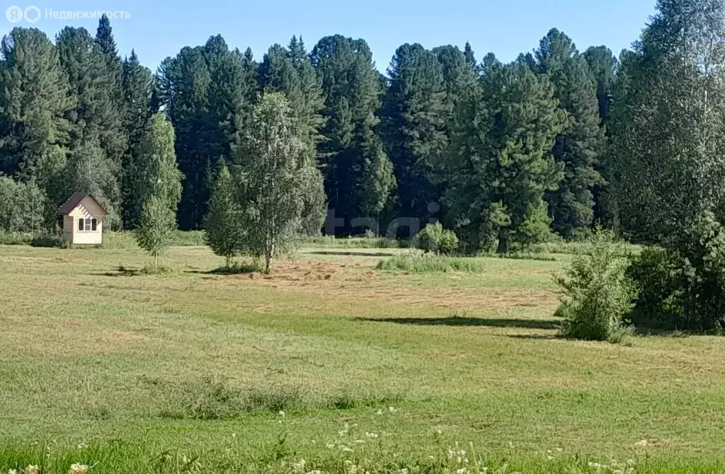 Участок в Чойский район, село Кузя, Трудовая улица (199.49 м) - Фото 1