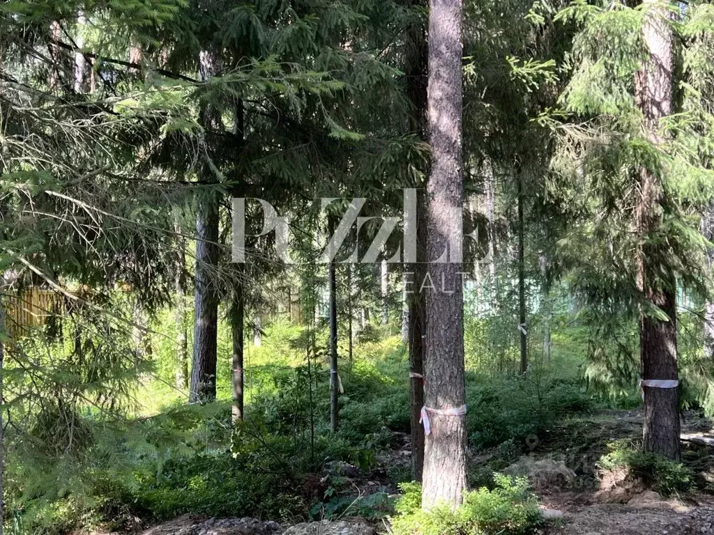 Участок в Санкт-Петербург, Санкт-Петербург, Зеленогорск ул. Танкистов, ... - Фото 1