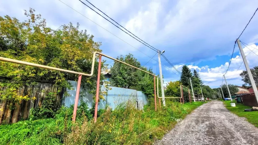 Участок в Новосибирская область, с. Новолуговое  (12.4 сот.) - Фото 1