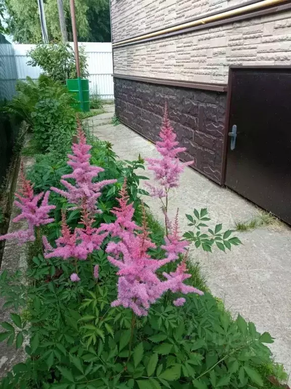 Дом в Московская область, Раменский муниципальный округ, с. Заворово ... - Фото 1