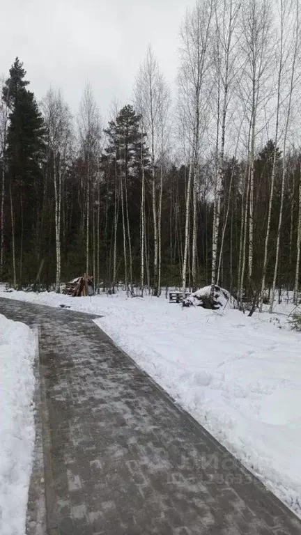 Участок в Владимирская область, Владимир д. Уварово, ул. Малая ... - Фото 1