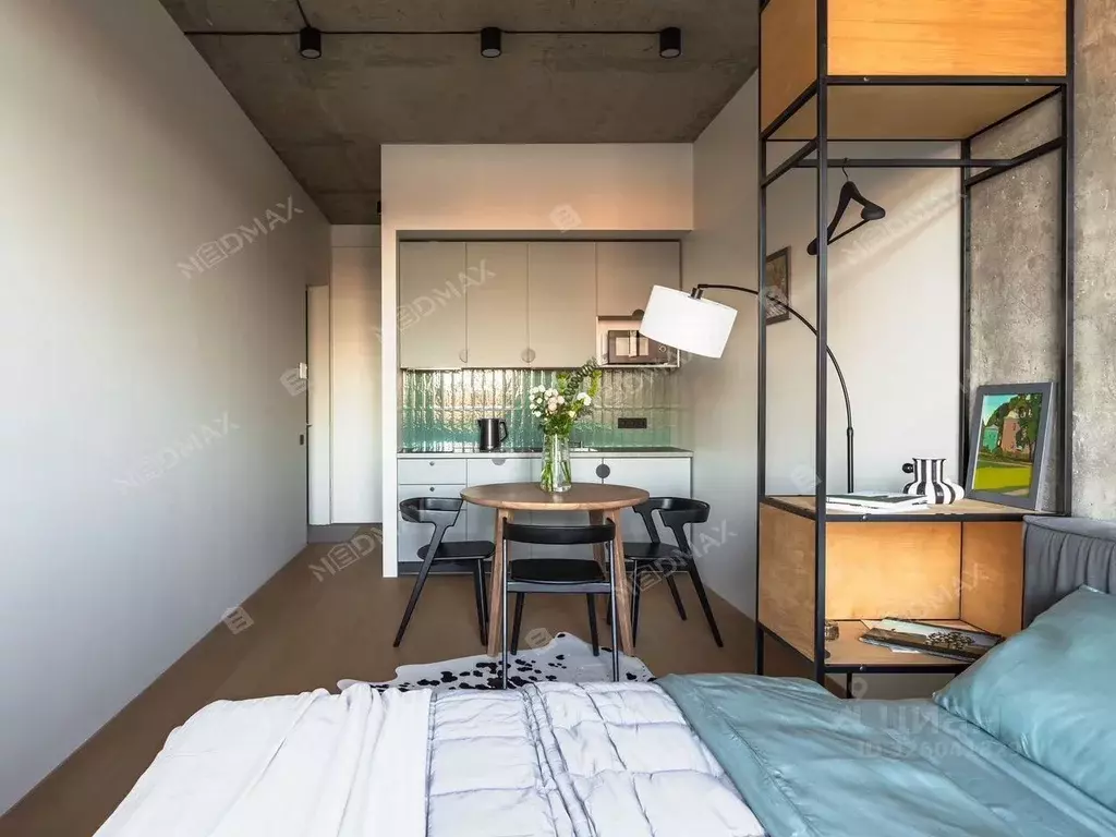 Студия Санкт-Петербург Ремесленная ул., 15 (24.5 м) - Фото 1