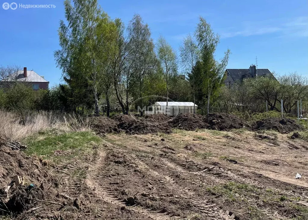 Участок в Гвардейск, Каштановая улица (8 м) - Фото 1