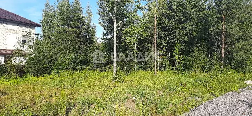 Участок в Ленинградская область, Сертолово Всеволожский район, Слобода ... - Фото 1