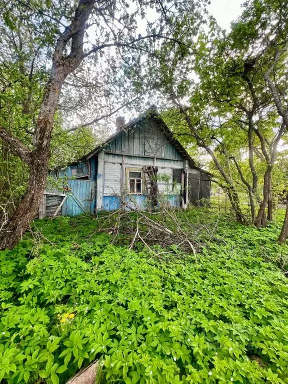 Участок в Смоленская область, Смоленский муниципальный округ, д. ... - Фото 1