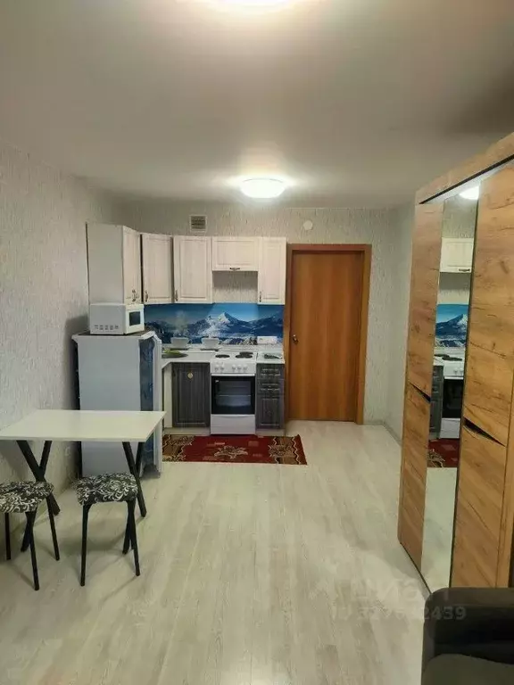 Студия Красноярский край, Красноярск ул. Карамзина, 8 (26.0 м) - Фото 2