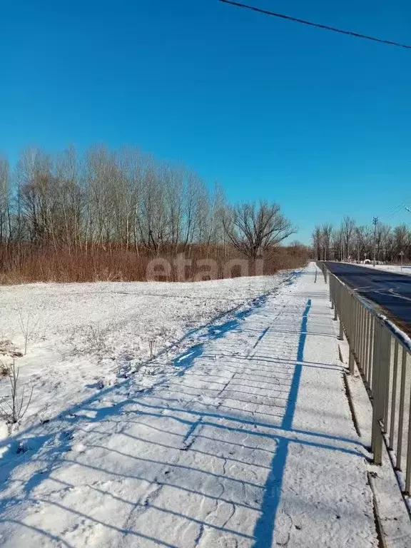 Участок в Белгородская область, Красногвардейский район, Засосенское ... - Фото 2