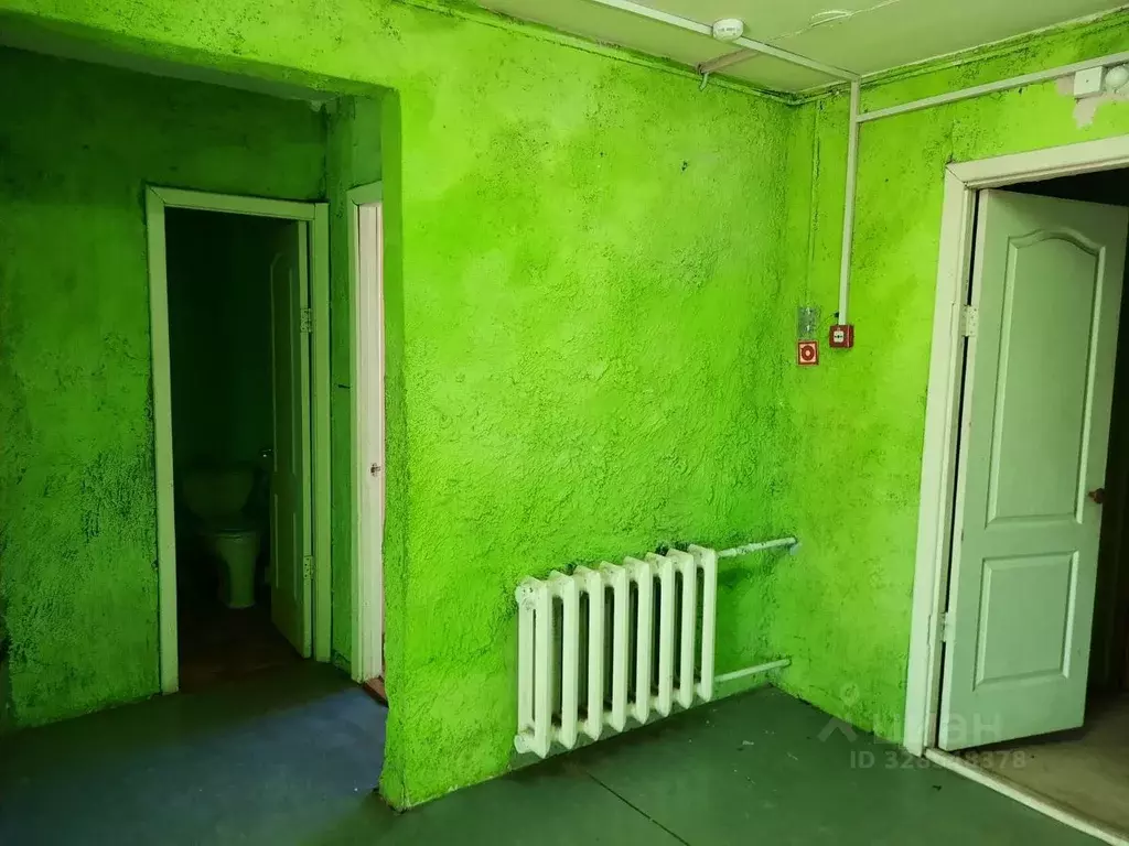 Помещение свободного назначения в Пермский край, Краснокамск пос. ... - Фото 2