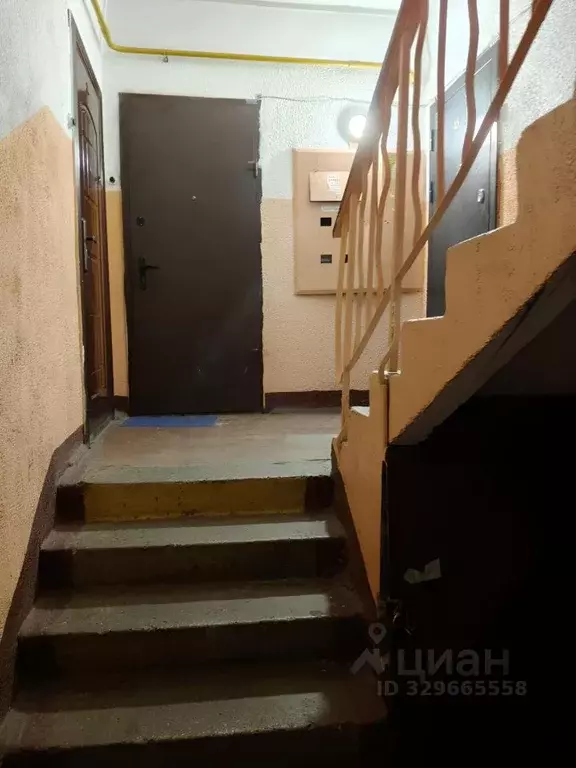 1-к кв. Московская область, Подольск ул. Филиппова, 12 (31.1 м) - Фото 0