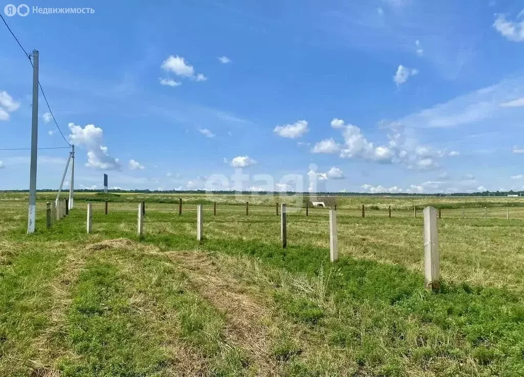 Участок в Заинский район, село Верхние Пинячи (10 м) - Фото 2