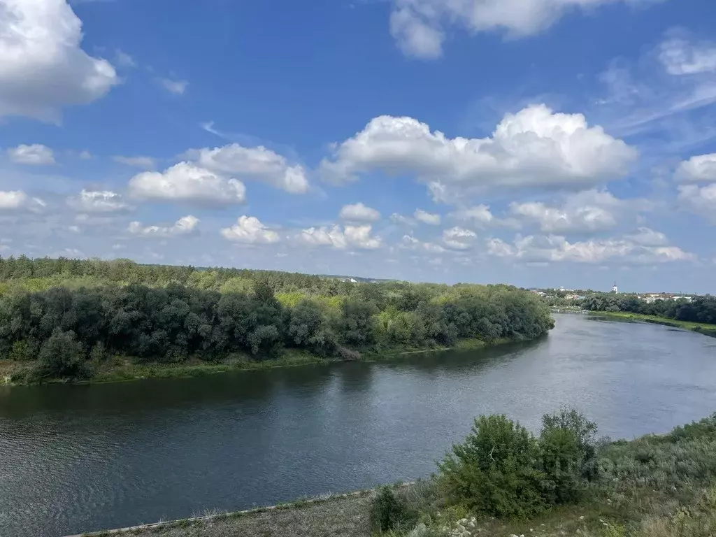 Коттедж в Воронежская область, Павловск ул. Красный Пахарь, 65А (311 ... - Фото 1