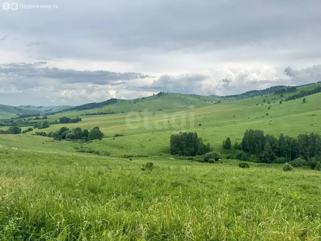 Участок в Алтайский район, ДНТ Жемчужина Алтая (10.15 м) - Фото 1