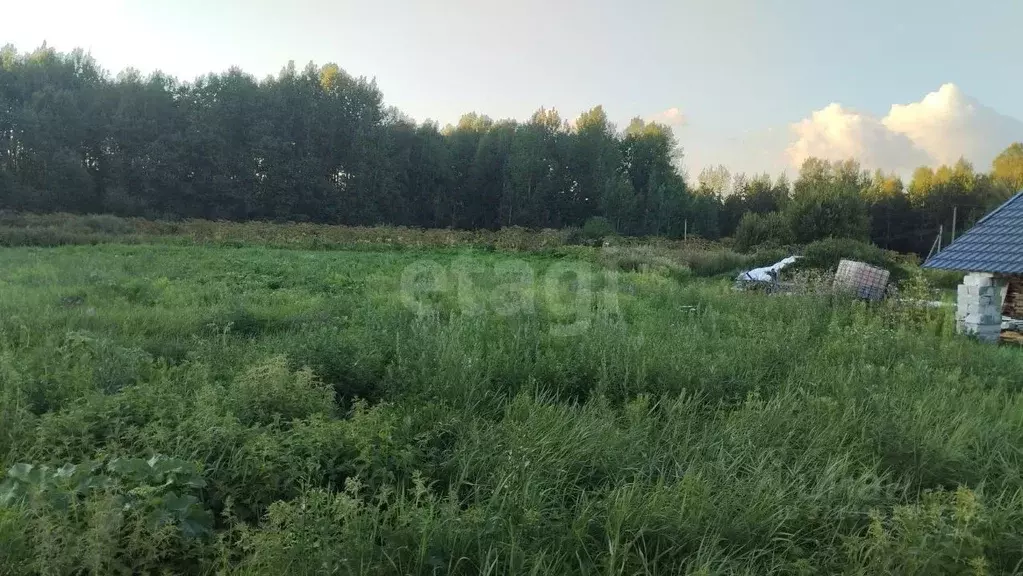 Участок в Вологодская область, с. Первомайское ул. Павловская, 4 (21.0 ... - Фото 1