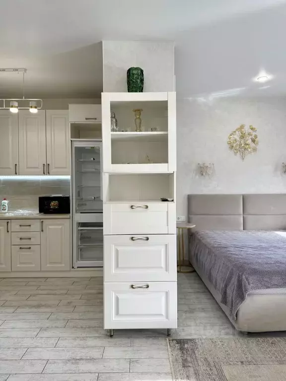 Студия Краснодарский край, Сочи городской округ, Дагомыс пгт ш. ... - Фото 1