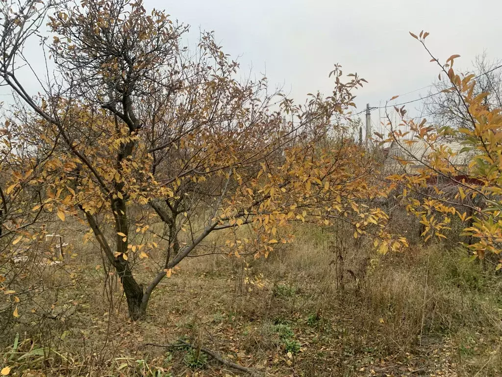 Участок в Новочеркасск, садовое товарищество № 5А (7.4 м) - Фото 0