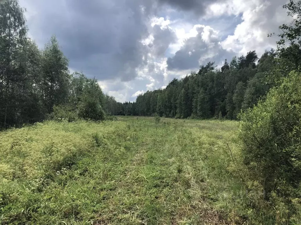 Участок в Ленинградская область, Выборгский район, Красносельское ... - Фото 1