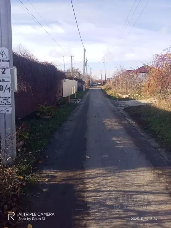 Участок в Белгородская область, Яковлевский муниципальный округ, ... - Фото 1