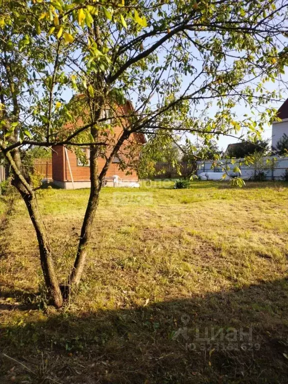 Участок в Московская область, Солнечногорск городской округ, Солнечное ... - Фото 1