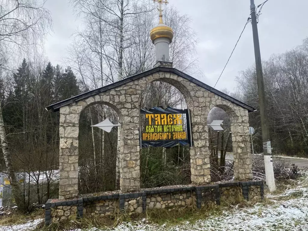 Участок в Московская область, Чехов муниципальный округ, с. Талеж  ... - Фото 0