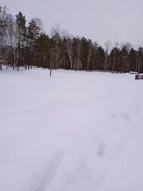 Участок в Алтай, Турочакский район, с. Озеро-Куреево Новая ул., 8 ... - Фото 1