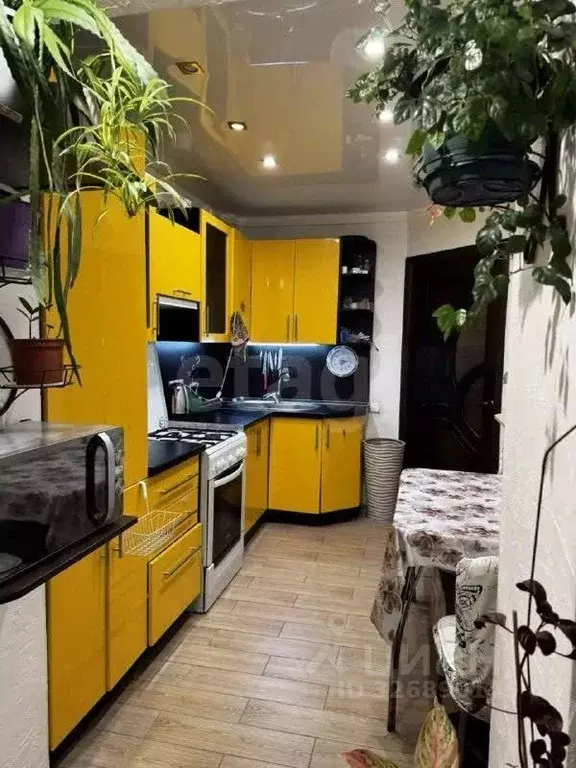 2-к кв. Ставропольский край, Михайловск Шпаковский район, ул. Ишкова, ... - Фото 1