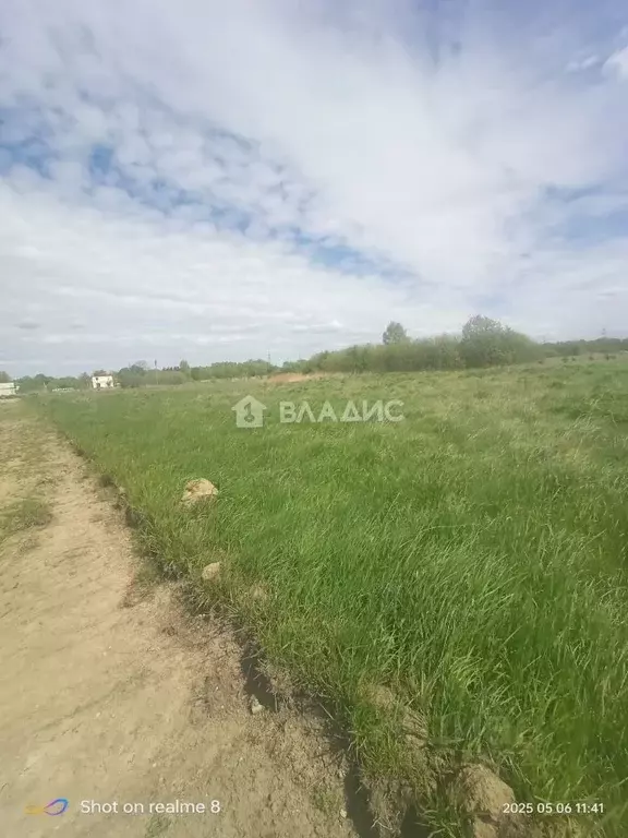Участок в Калининградская область, Гурьевский муниципальный округ, ... - Фото 1