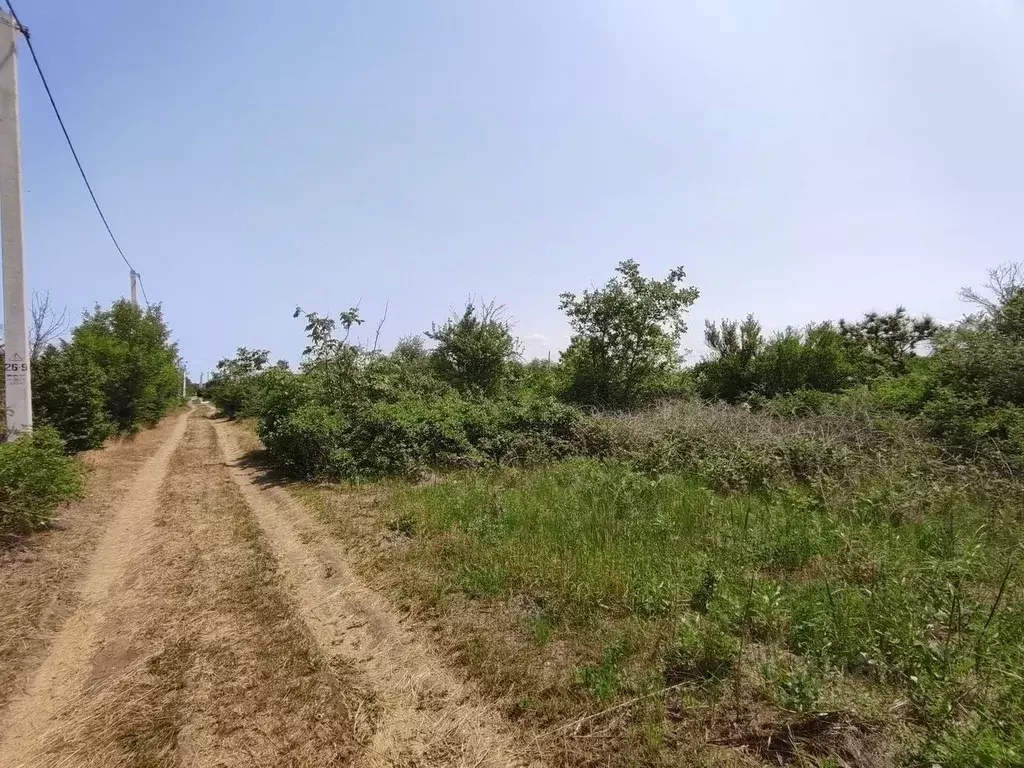 Участок в Краснодарский край, Ейск Виктория СНТ, ул. 7-я (10.0 сот.) - Фото 1