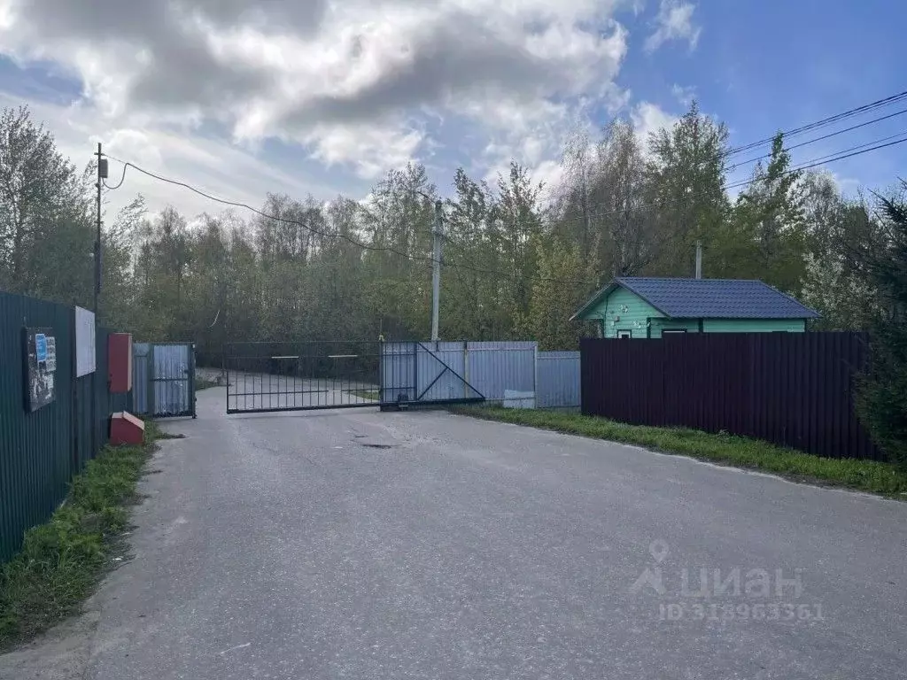Участок в Московская область, Пушкинский городской округ, Поселок ... - Фото 1