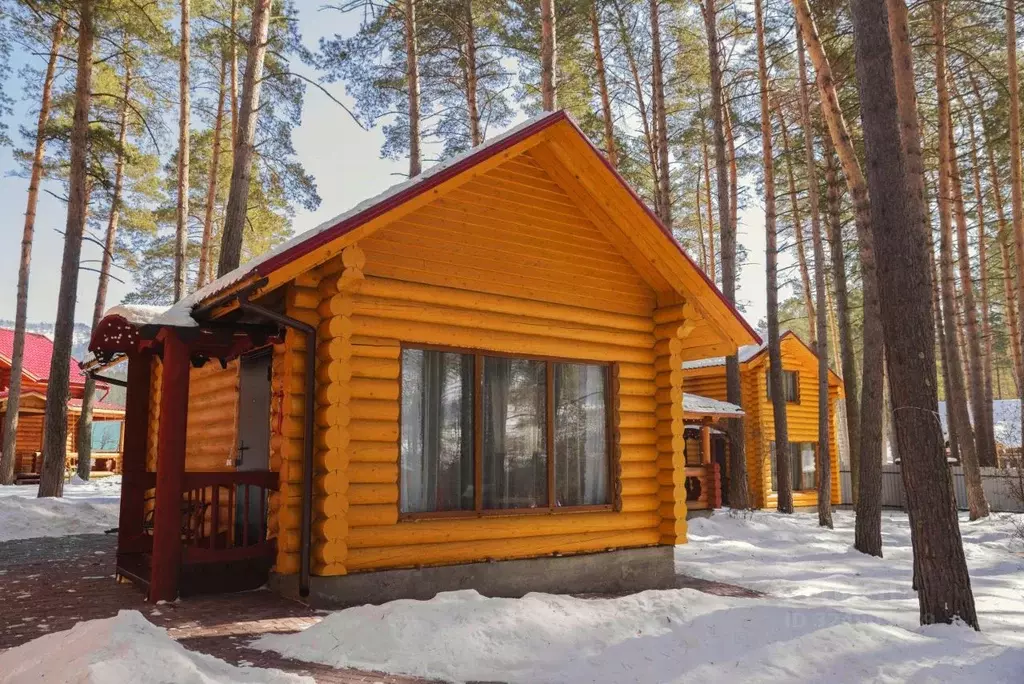 Дом в Алтай, Чемальский район, с. Чепош Спортивный пер., 16 (30 м) - Фото 1