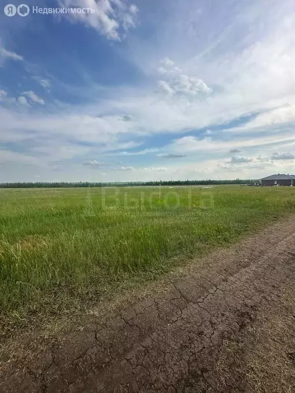 Участок в село Александровка, Рябиновая улица, 3 (9 м) - Фото 1