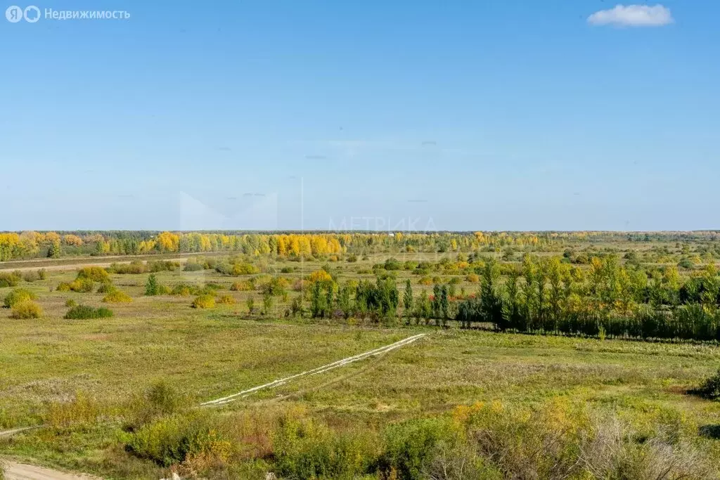 Участок в Тюменский район, деревня Коняшина (4.17 м) - Фото 1