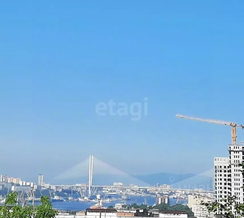 3-к кв. Приморский край, Владивосток ул. Каплунова, 3 (54.4 м) - Фото 0