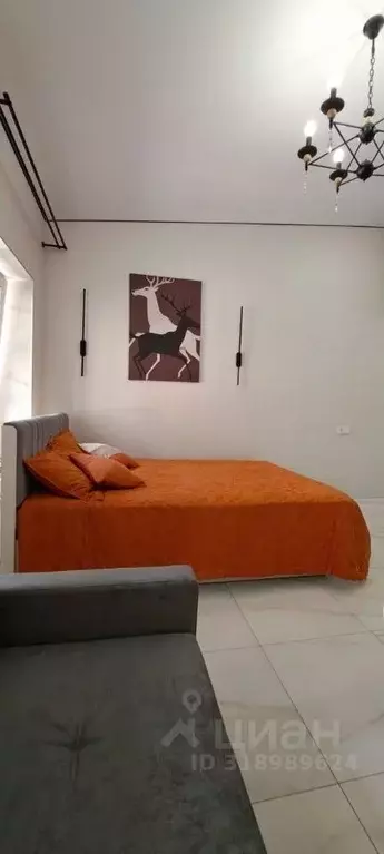 Студия Санкт-Петербург Полтавская ул., 10 (30.0 м) - Фото 0