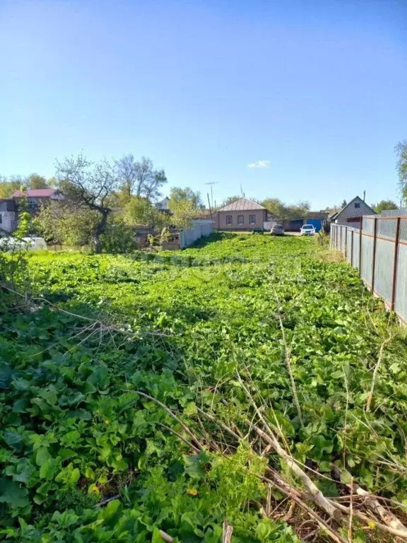 Участок в Брянская область, Погар рп ул. Жданова (14.0 сот.) - Фото 0