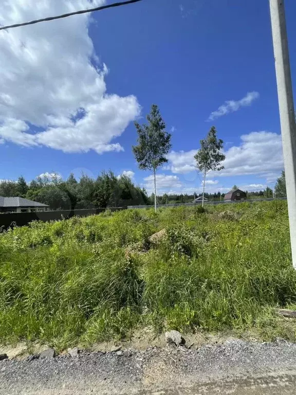 Участок 12,5 сот. (ИЖС) - Фото 0