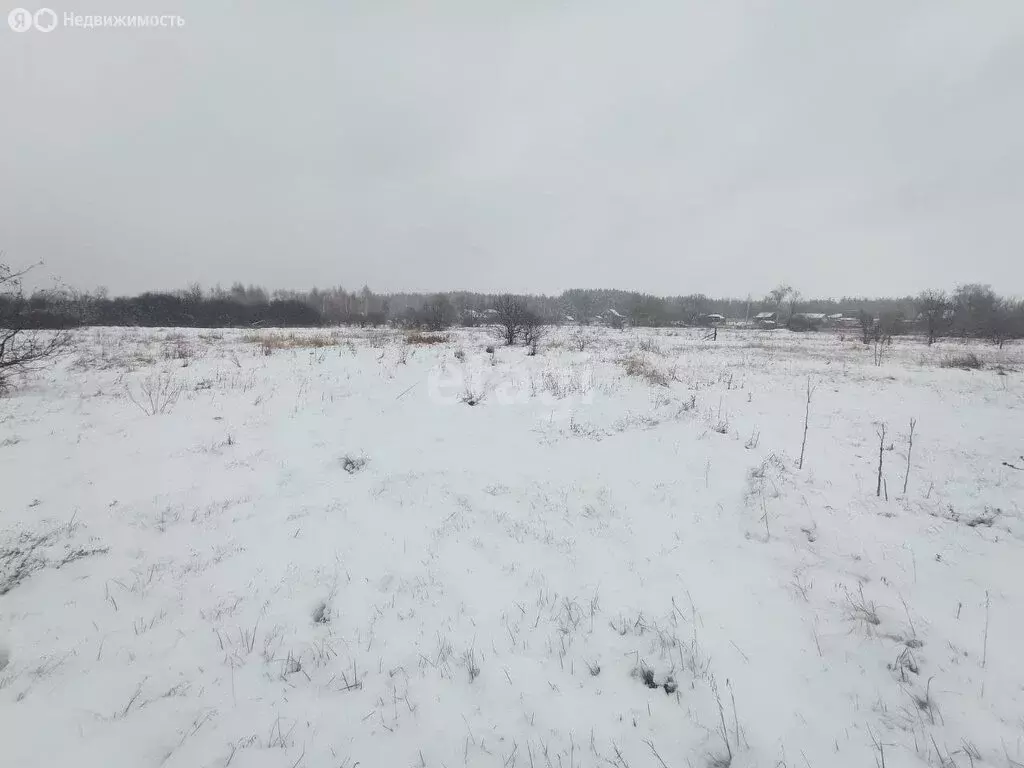 Участок в село Новая Усмань, Раздольная улица (10 м) - Фото 0