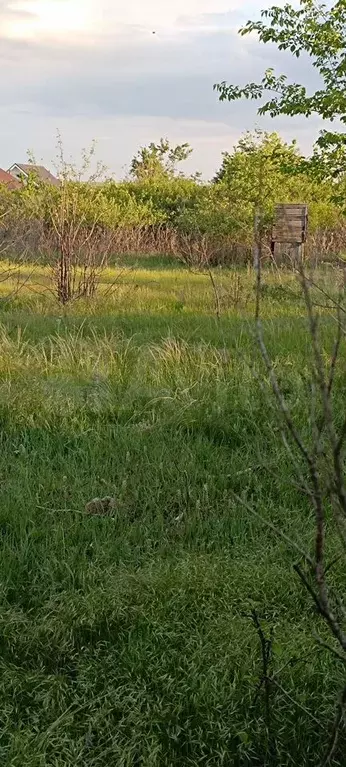 Участок 6,4 сот. (СНТ, ДНП) - Фото 1