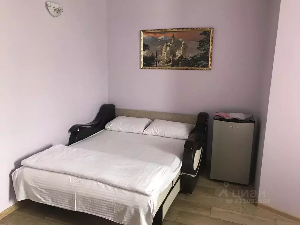 Комната Воронежская область, Новоусманский район, пос. Отрадное ул. ... - Фото 2