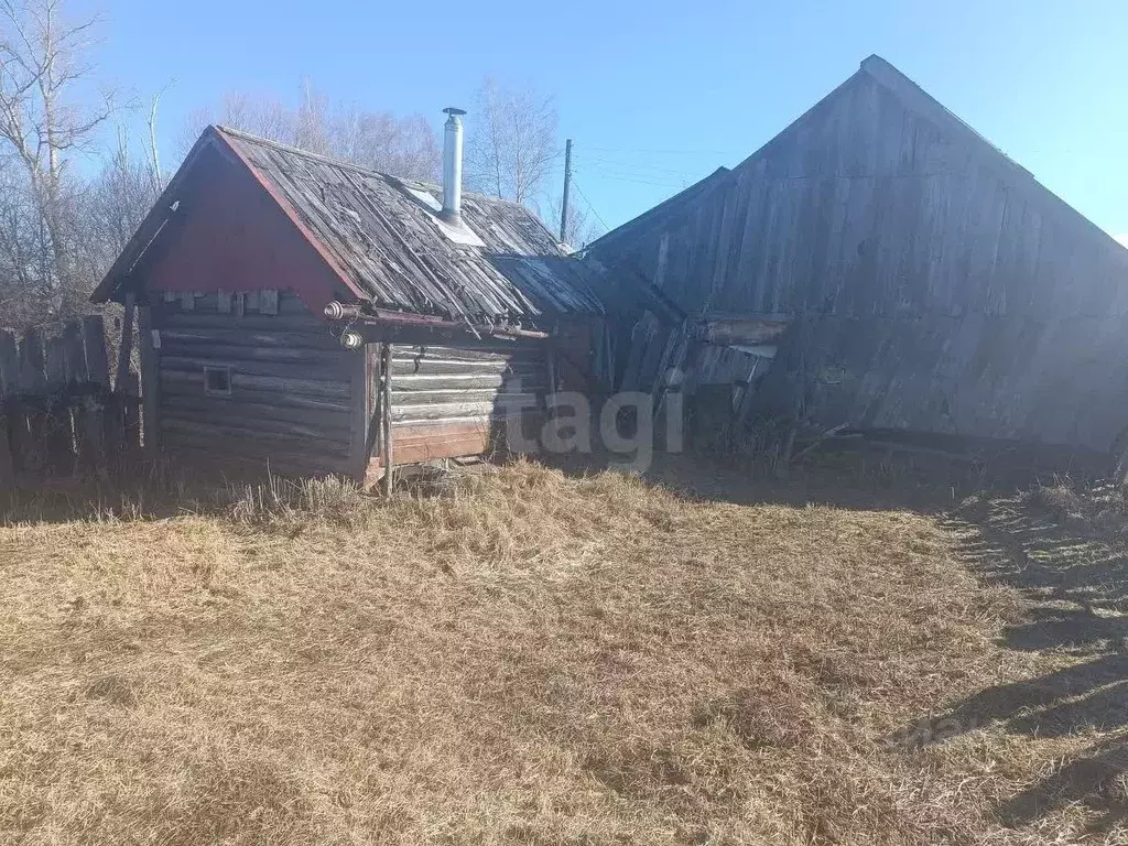 Участок в Нижегородская область, Арзамас городской округ, с. Криуша ... - Фото 1