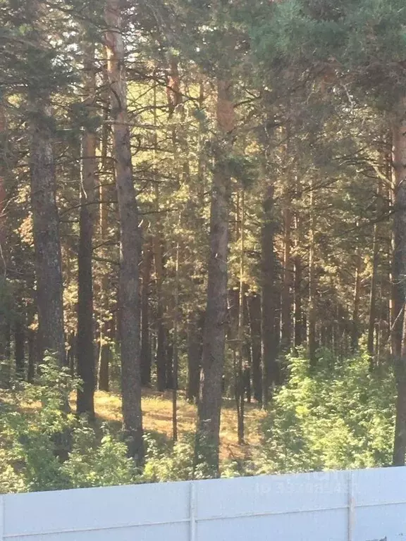 Дом в Новосибирская область, Новосибирск Рощинская ул. (60 м) - Фото 2