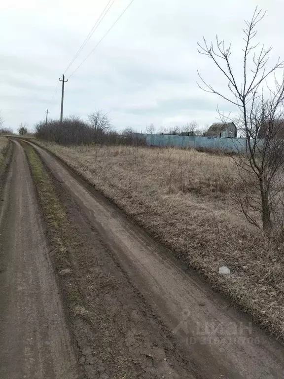 Участок в Тамбовская область, Тамбов Садовая ул. (7.8 сот.) - Фото 2
